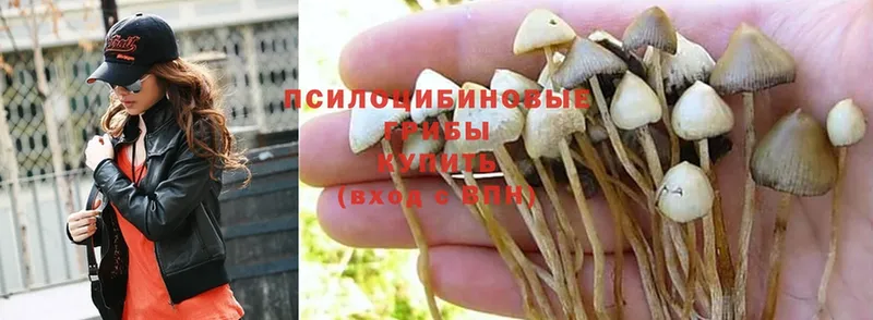 Галлюциногенные грибы MAGIC MUSHROOMS  Красногорск 